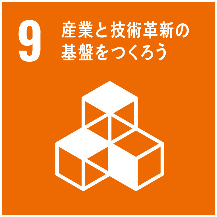 SDGs 9